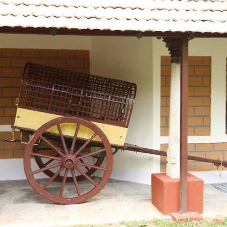 'Vrindavan' In Heritage City Mysuru Exteriér fotografie