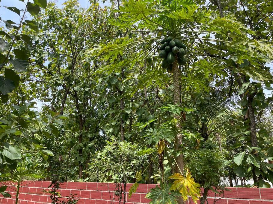 'Vrindavan' In Heritage City Mysuru Exteriér fotografie